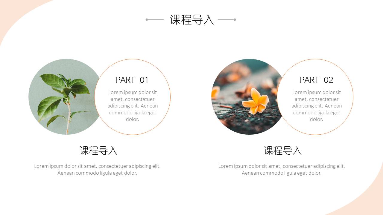 教育课件 (4).pptx